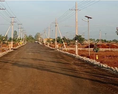 WhatsApp Image 2023-03-29 at 10.44.15 AM (2)