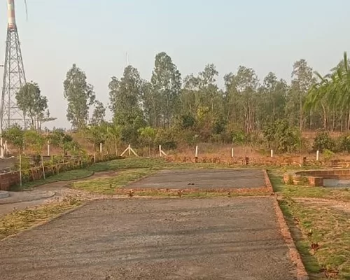 WhatsApp Image 2023-03-29 at 10.44.41 AM (4)